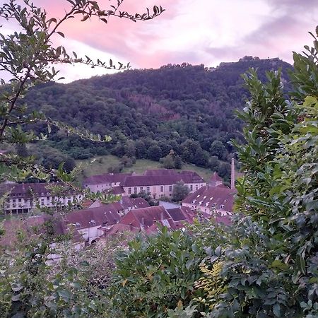 Le Coeur De Sel Apartman Salins-les-Bains Kültér fotó
